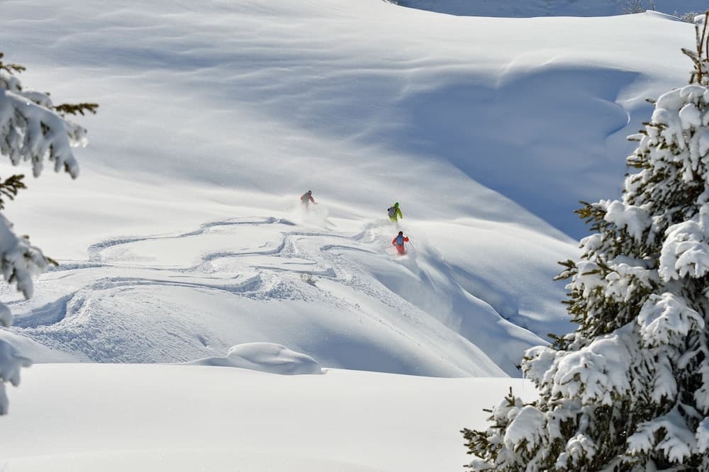 Skiing