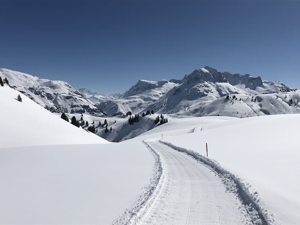 Snowshoeing
