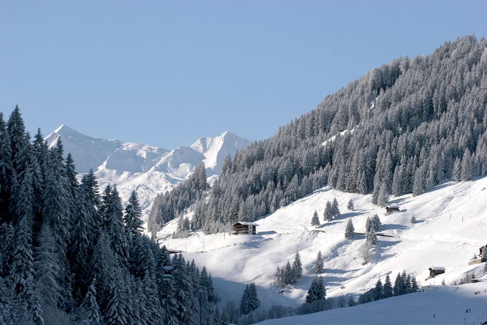 Mountain view