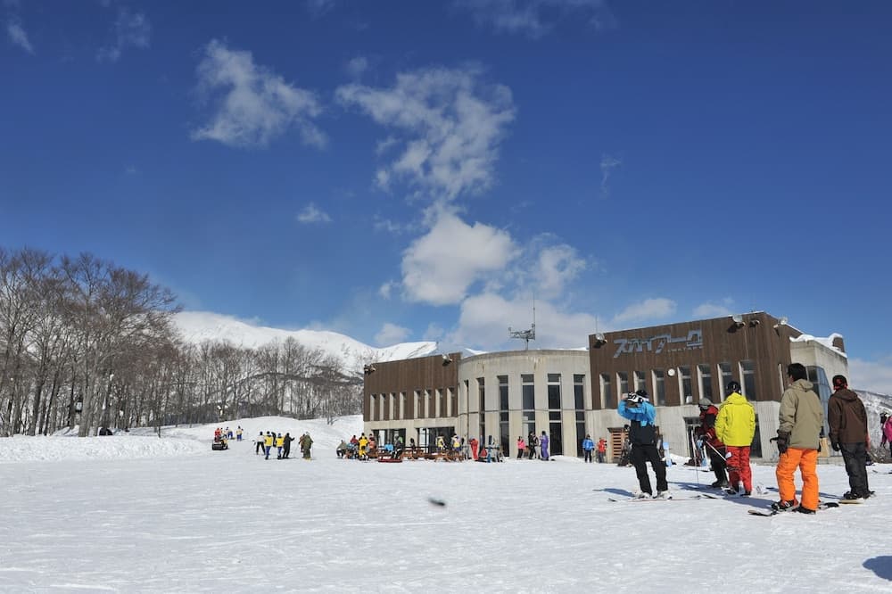 Snow and ski sports