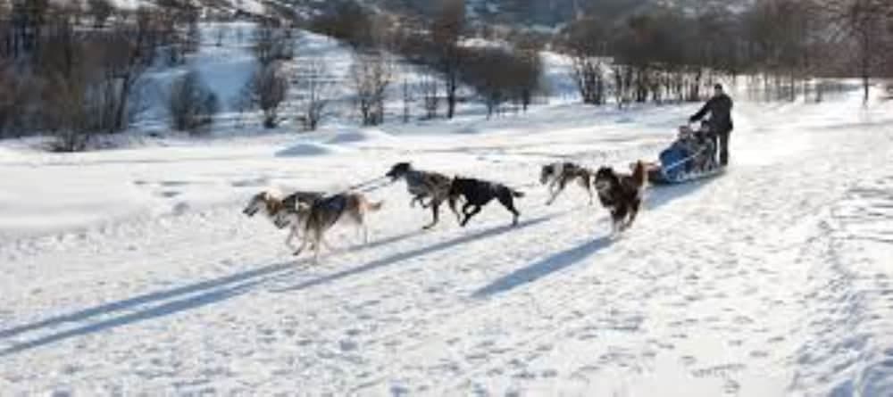 Snow and ski sports