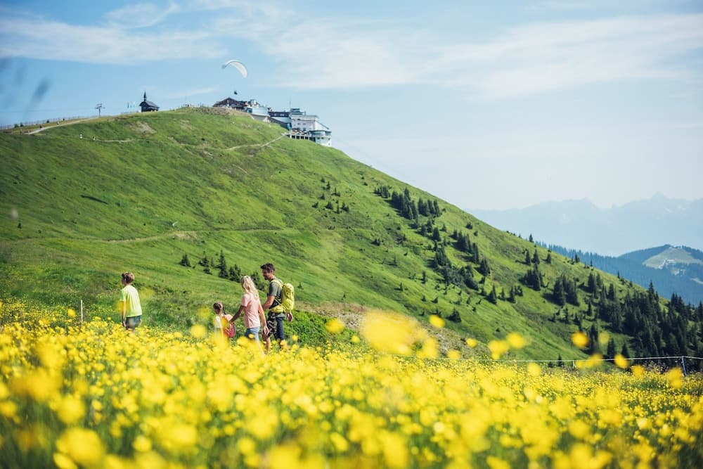 Hiking