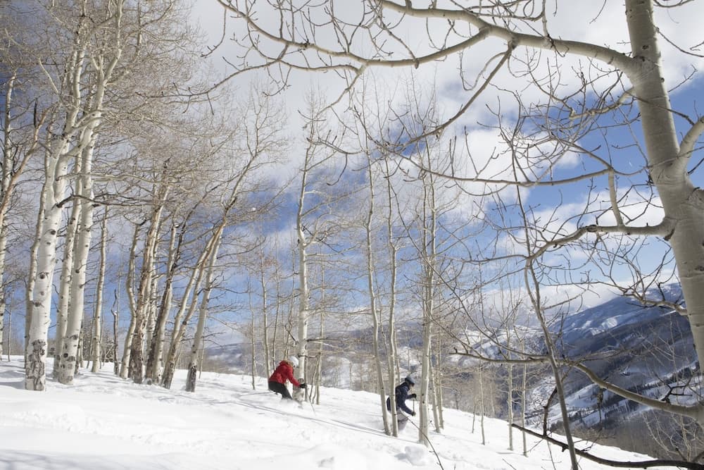 Snow and ski sports