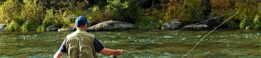 Fishing