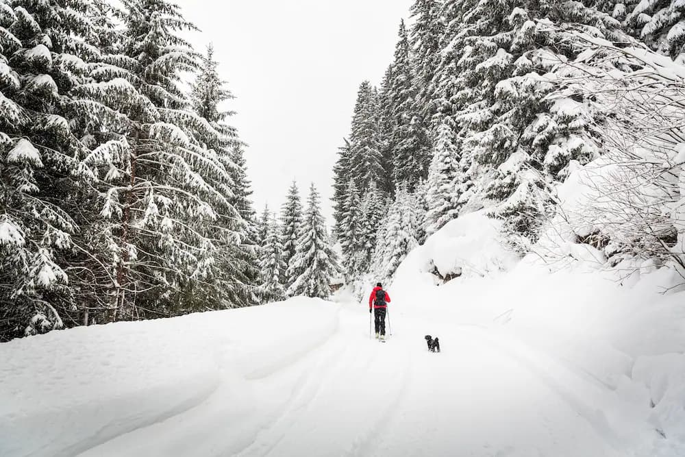 Snow and ski sports