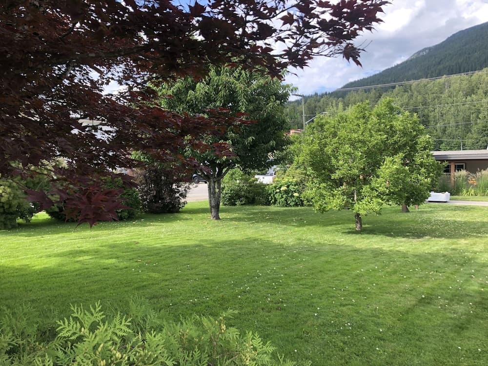 Garden view