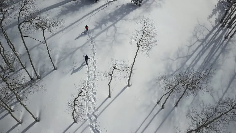 Snowshoeing
