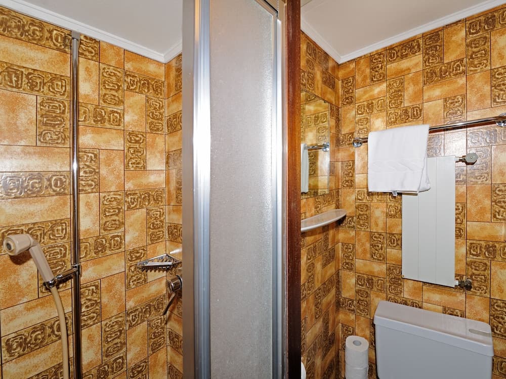 Bathroom shower