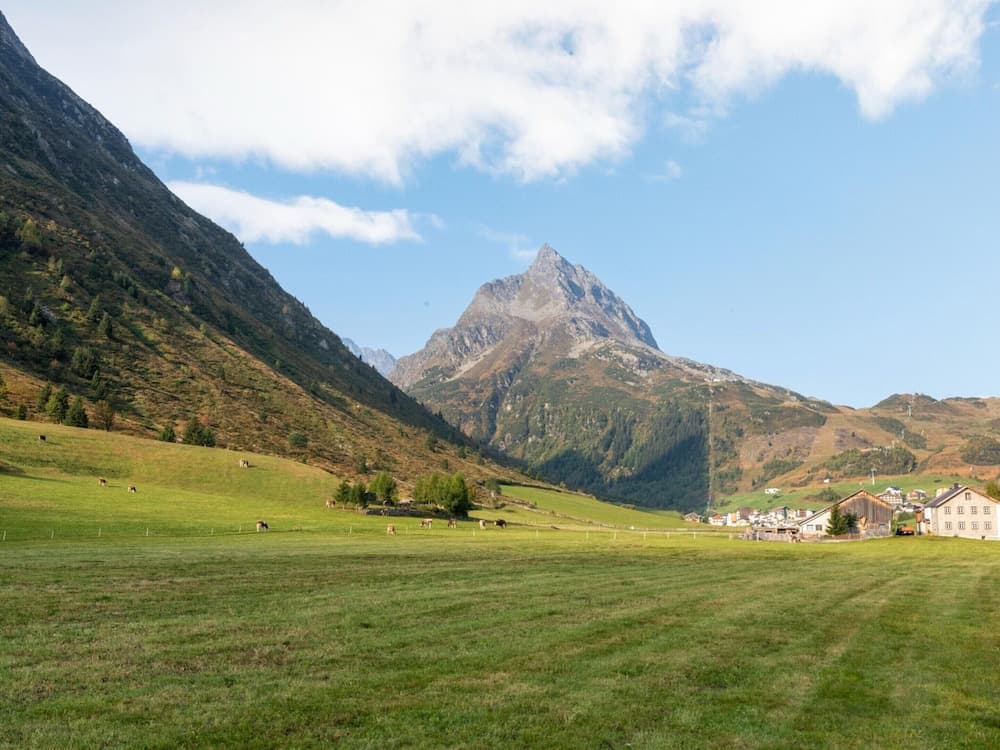 View from property