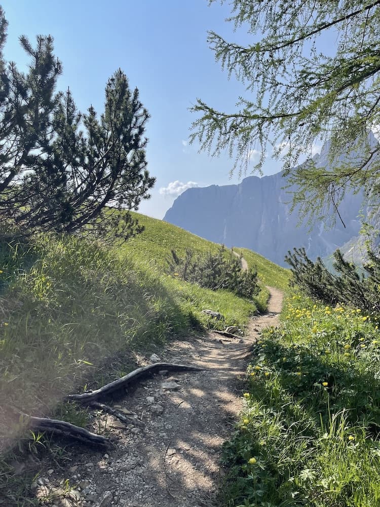 Hiking