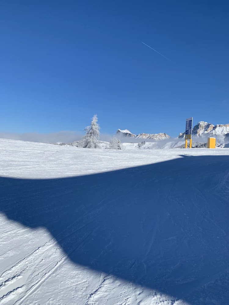 Skiing