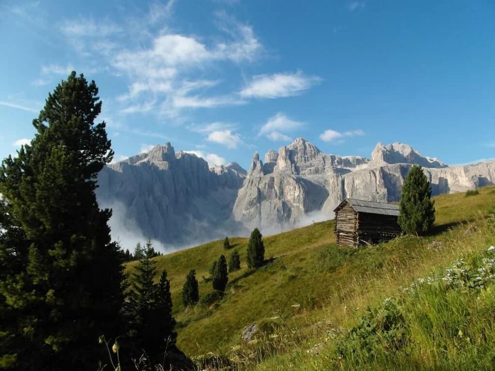 Land view from property