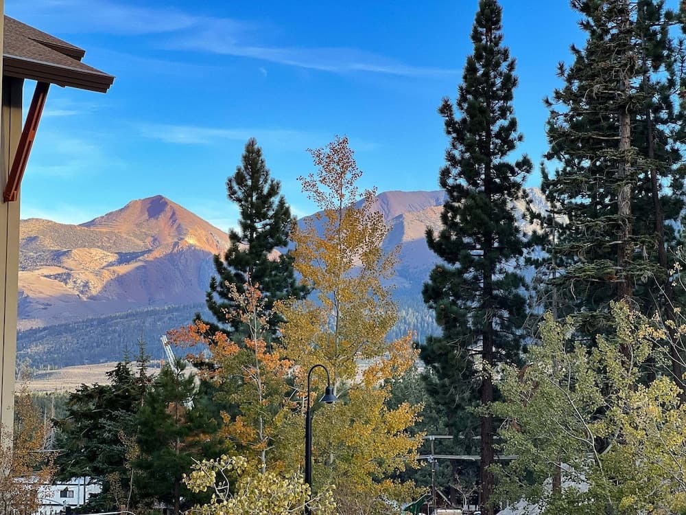 View from property