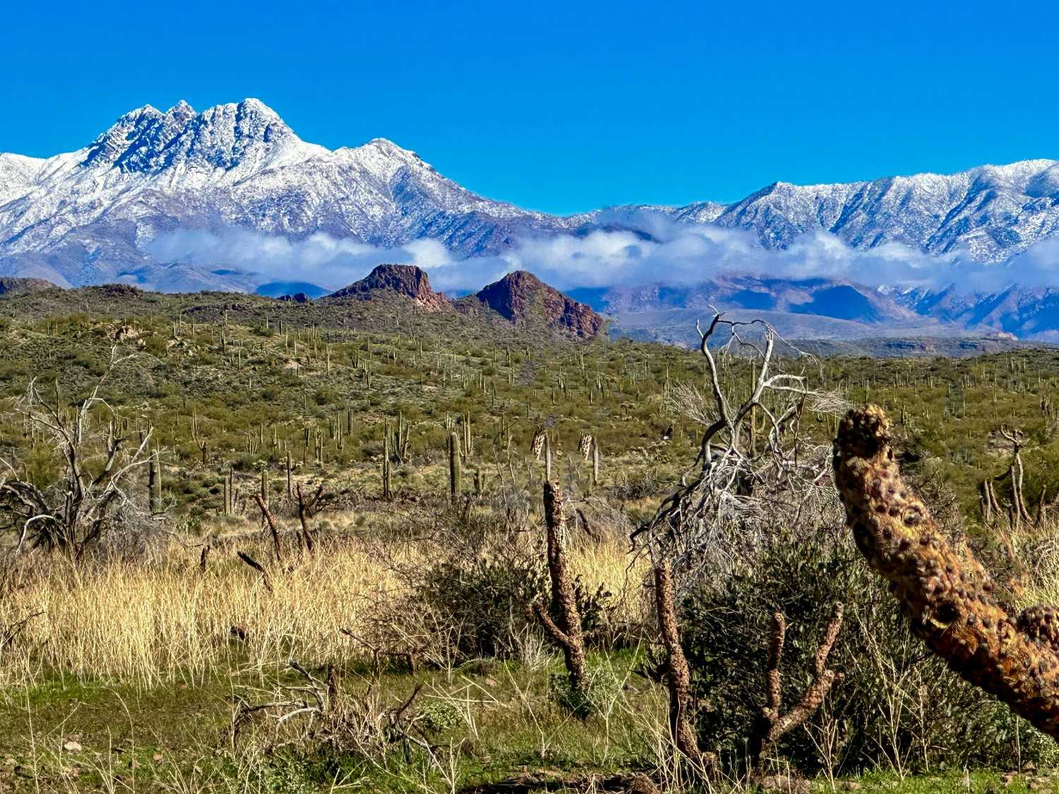 3 Best Ski Resorts in Arizona, 2026/27