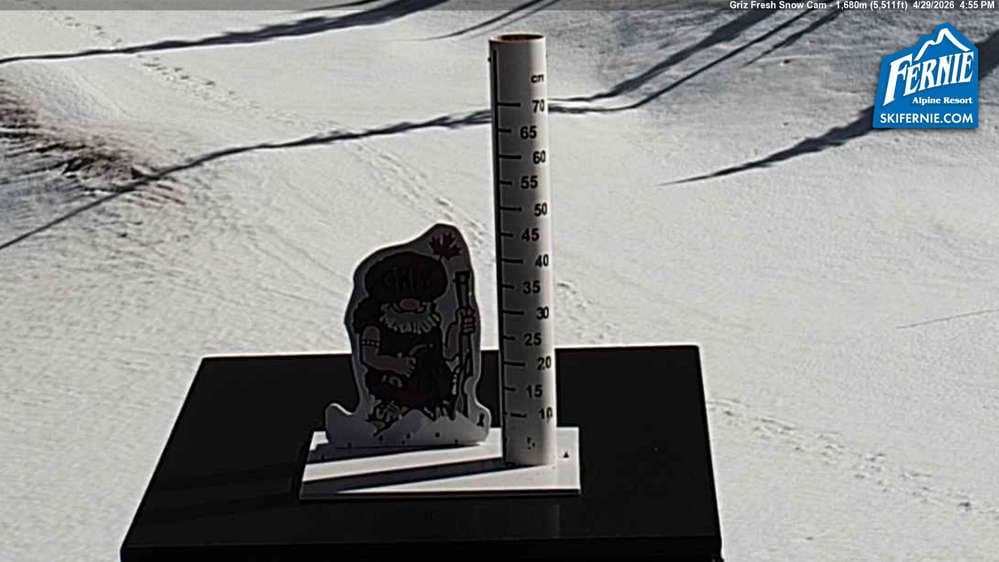 Fernie: Griz Fresh Snow Cam