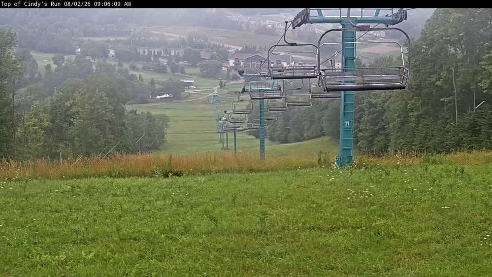 Top of Cindy's