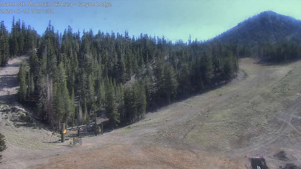Chair 8 Bottom