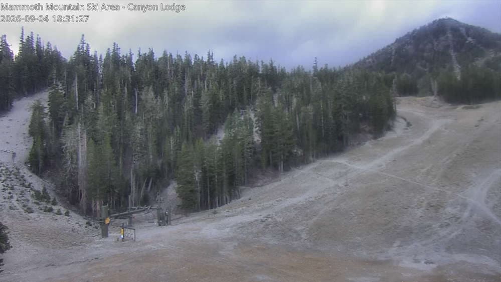Chair 8 Bottom