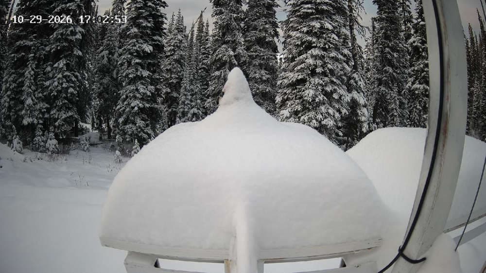 Revelstoke: Gnorm the Powder Gnome