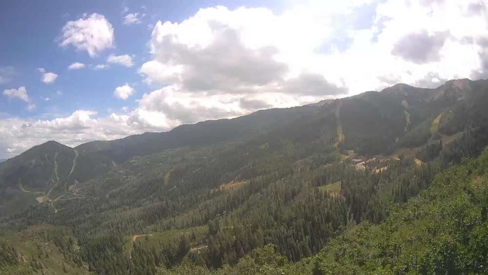 Lookout Cabin Camera