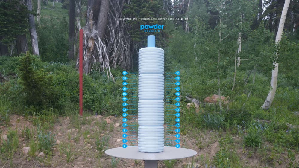 Snow Stake