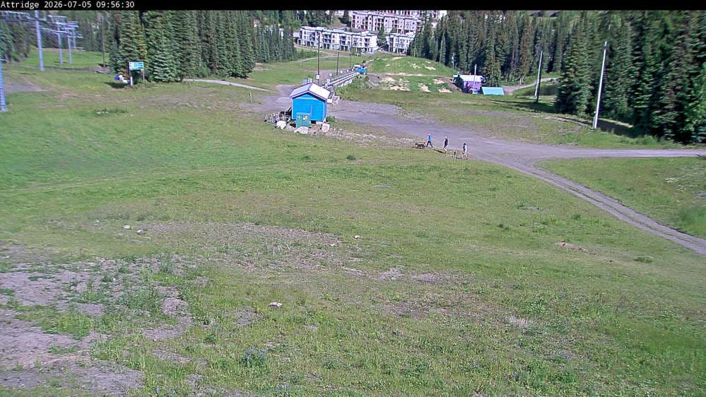 Silver Star Alpine Meadows Webcam