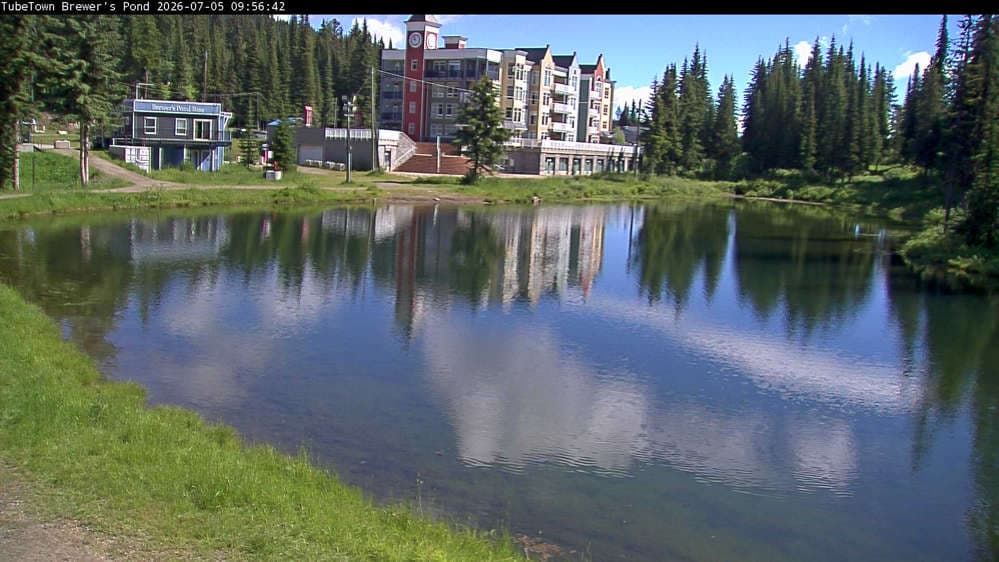 Silver Star Brewer's Pond Webcam