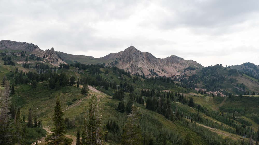 Mt. Ogden