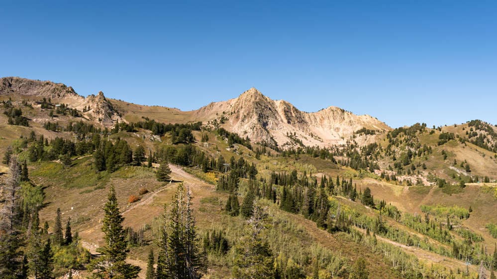 Mt. Ogden