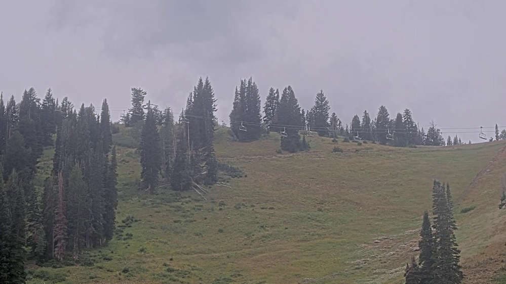 Solitude: Sunshine Bowl Cam
