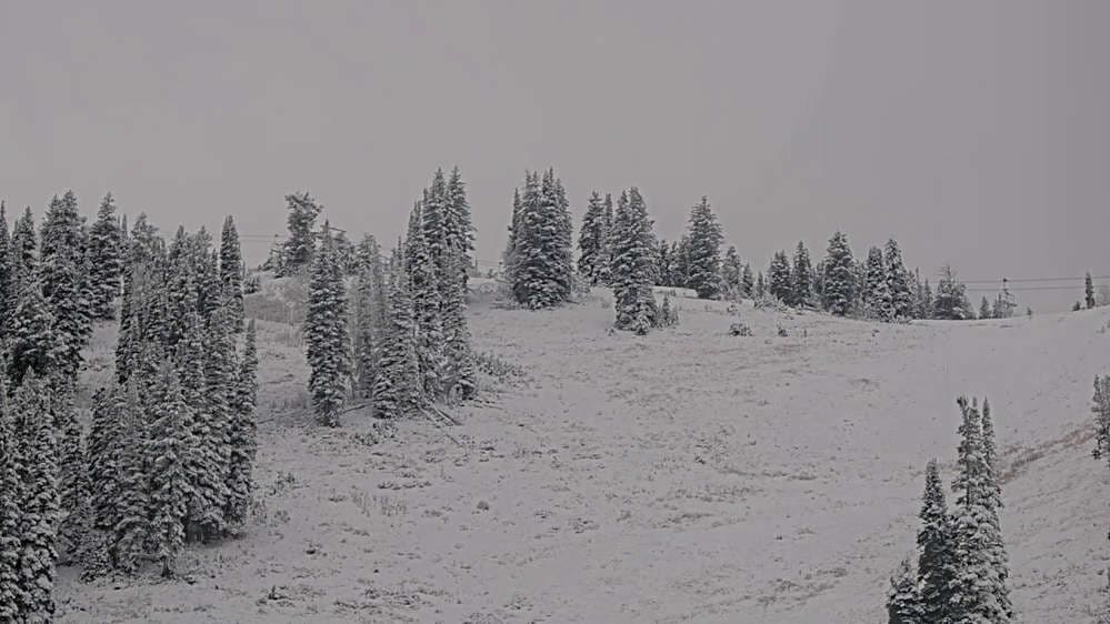 Solitude: Sunshine Bowl Cam