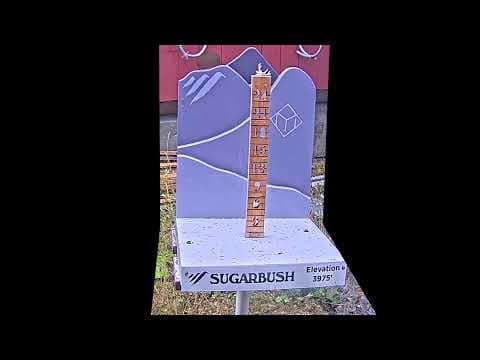Summit Snow Stake