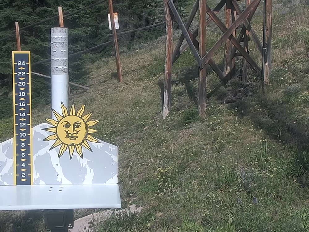 Snow Stake