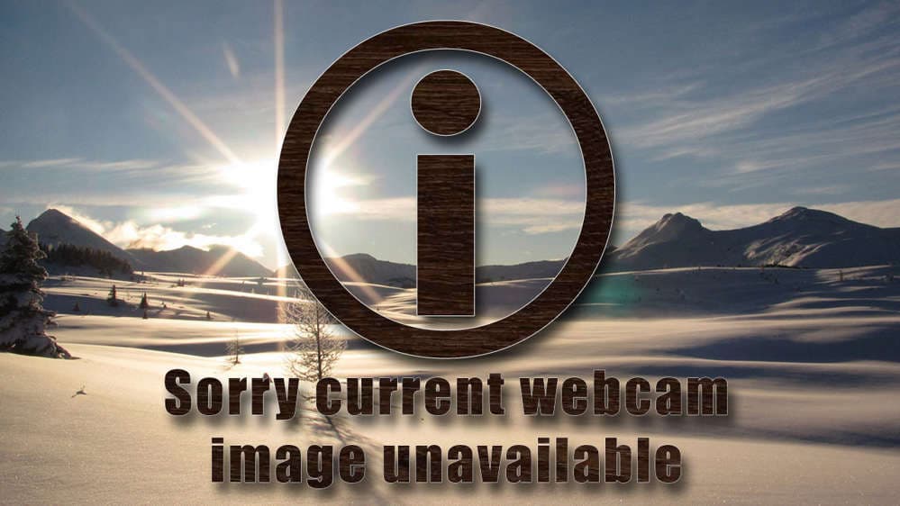 Storm Board & Vincent Van Goat Cleared Daily at 3PM Cam
