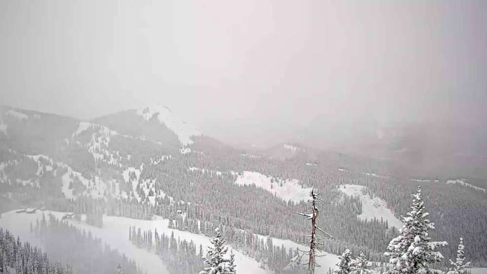 Telluride - See Forever Cam