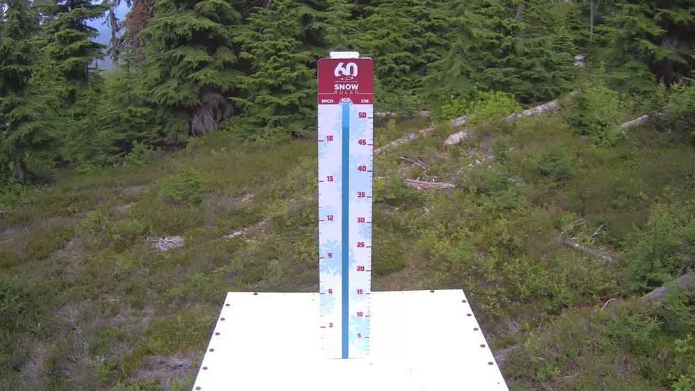 Whistler Snow Stake