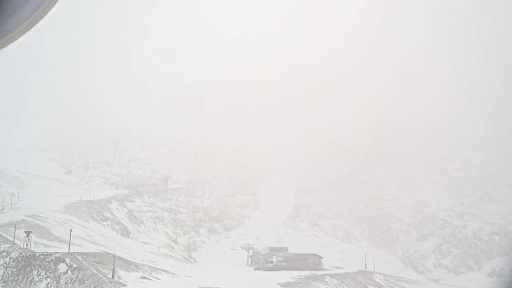 Live Herpie - 2735m