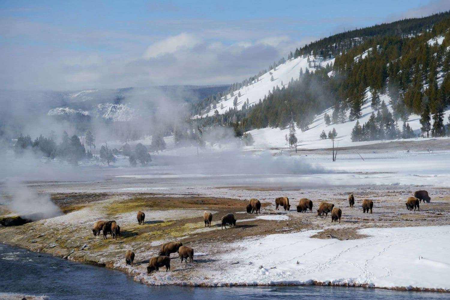 5 Best Ski Resorts in Wyoming, 2026/27