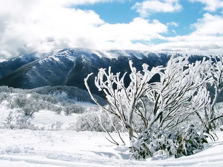 5 Best Ski Resorts in Australia, 2023/24
